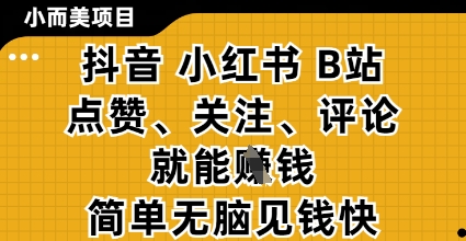 小而美的项目，抖音小红书B站视频点赞、关注、评论就能挣钱，简单无脑立见收益，妥妥的零撸项目【揭秘】-源创极客