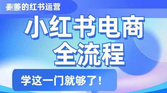 小红书电商全流程，精简易懂，从入门到精通，学这一门就够了-源创极客