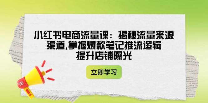 小红书电商流量课：揭秘流量来源渠道,掌握爆款笔记推流逻辑,提升店铺曝光-源创极客