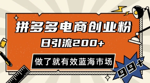 拼多多引流电商创业粉，日引200+，可矩阵放大，做了就有效【揭秘】-源创极客