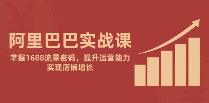 阿里巴巴实战课：掌握1688流量密码，提升运营能力，实现店铺增长-源创极客