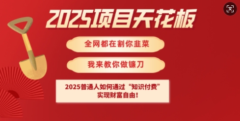 2025项目天花板普通人如何通过知识付费，实现财F自由【揭秘】-源创极客